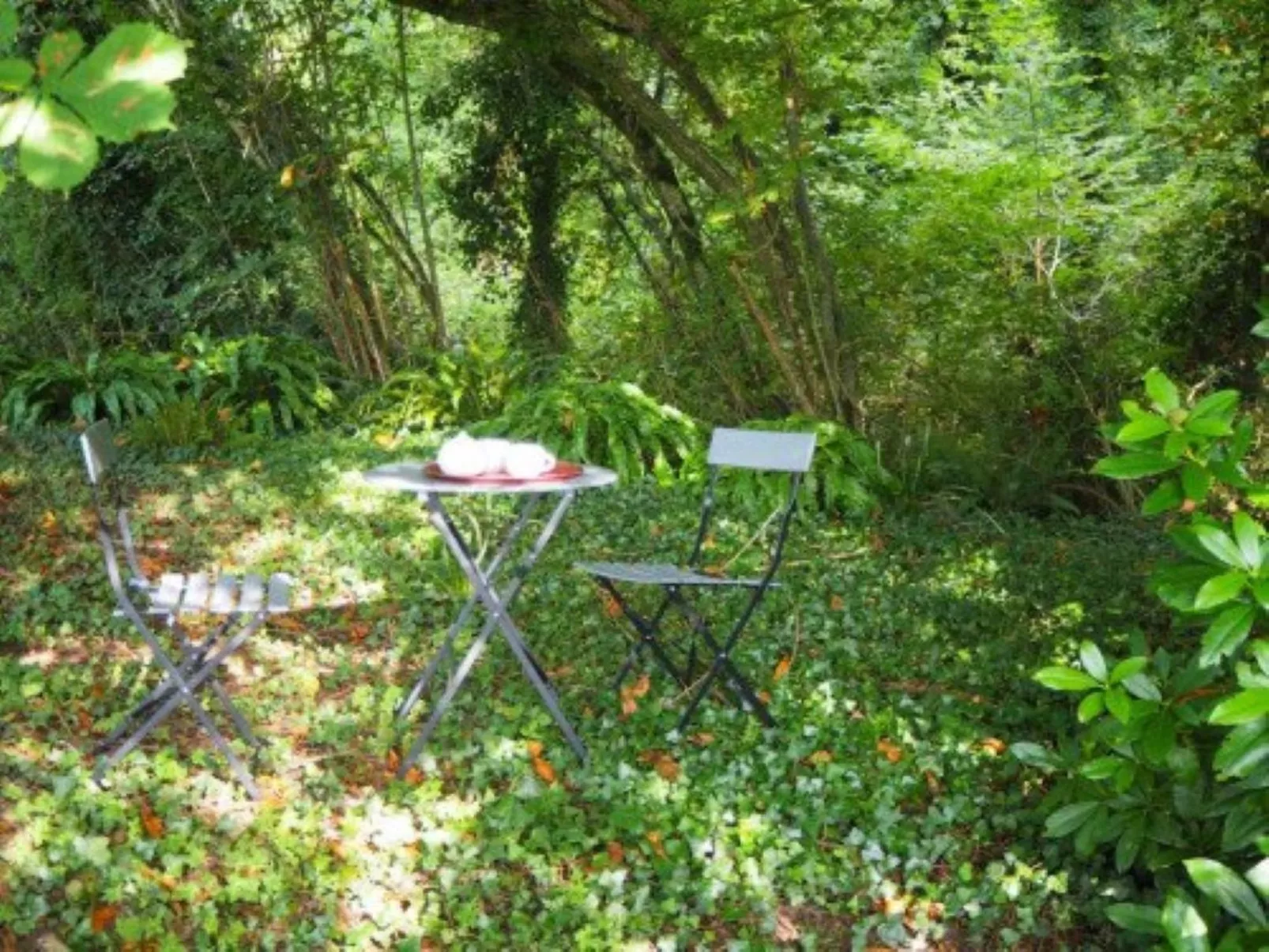 Le Bois aux Ecureuils (Eichhörnchenwald)