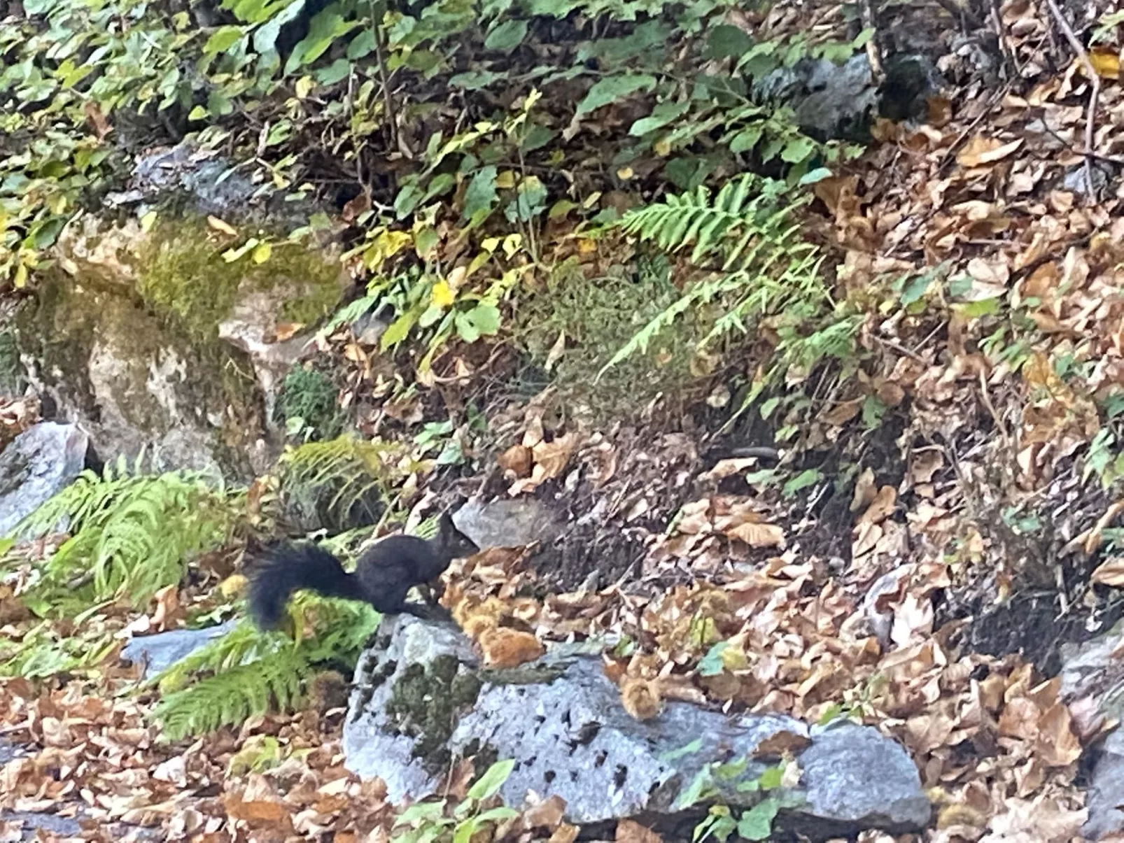 Rustico Monti di Rima