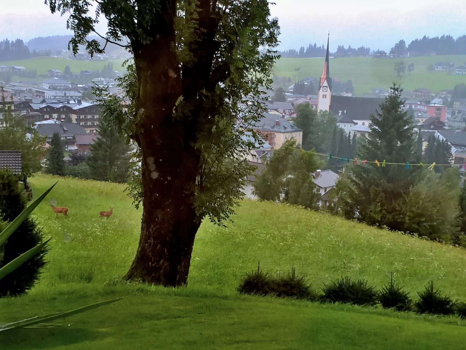 Haus Dreier-Image-tags.info