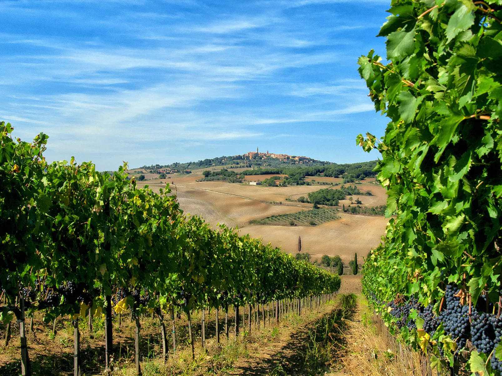 Tenuta "Podere Osteria"-Environnement