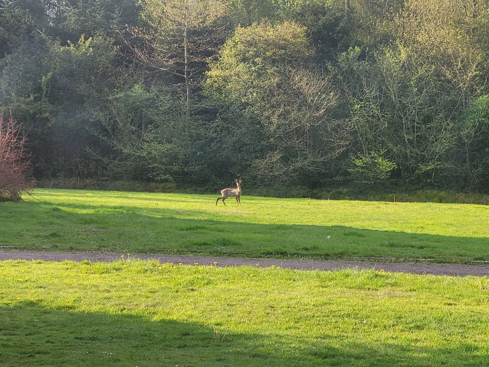 Renoviertes Ferienhaus in der Nähe von Cabourg-Deauville-Lisieux-Outside