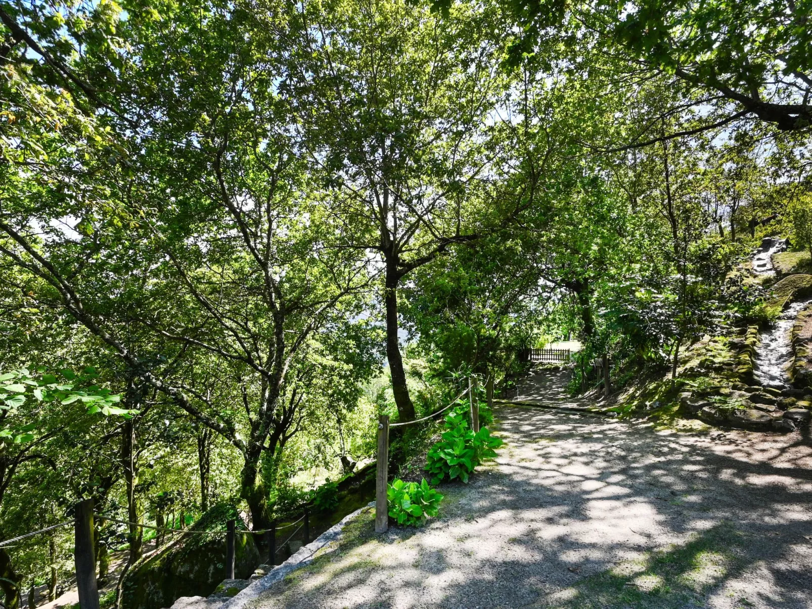 Casas das Olas 2 - Großartige Aussicht, 2 Pools, idealer Ort zum Entspannen und-Outside