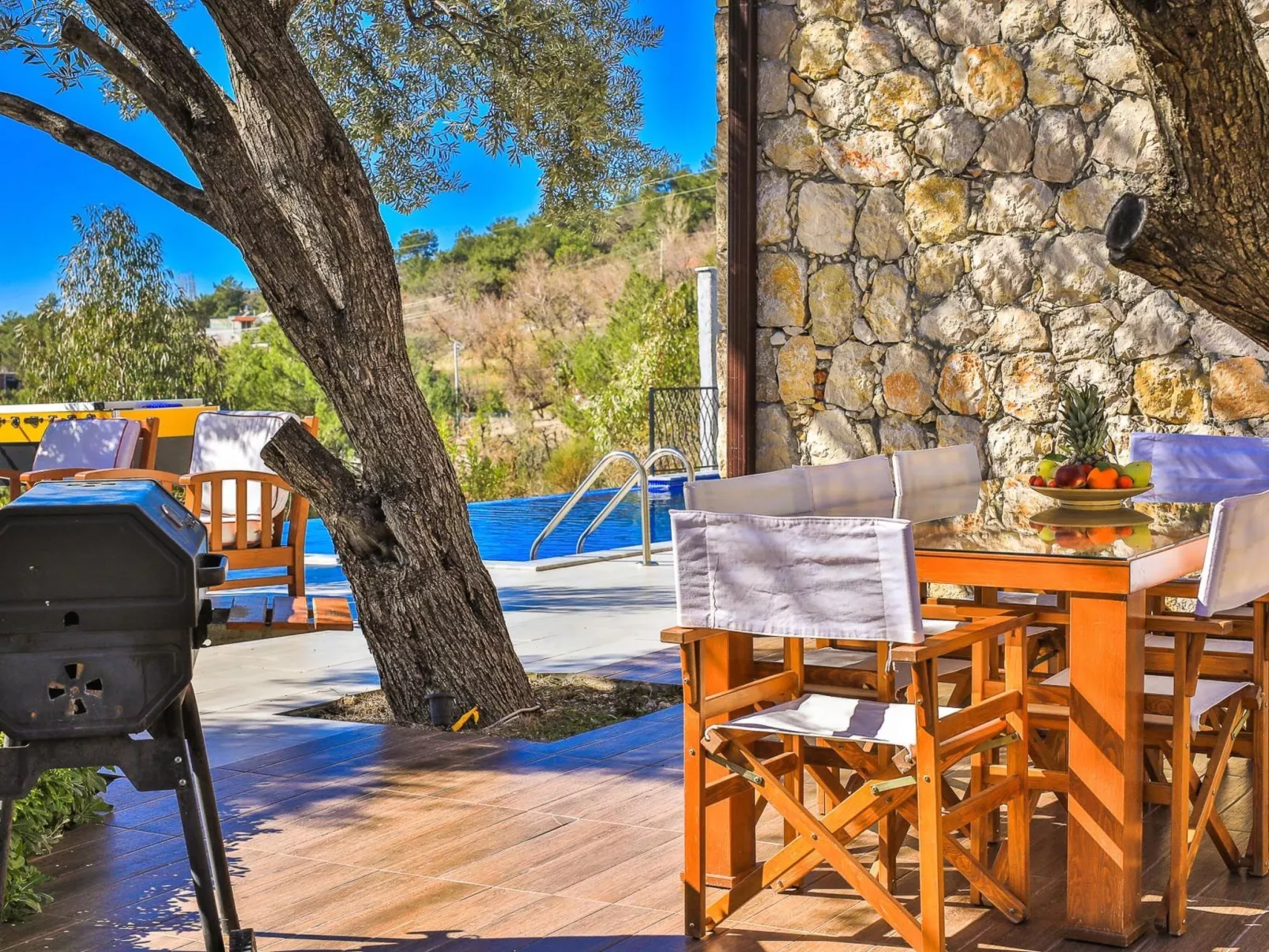 Steinhausvilla in der Natur