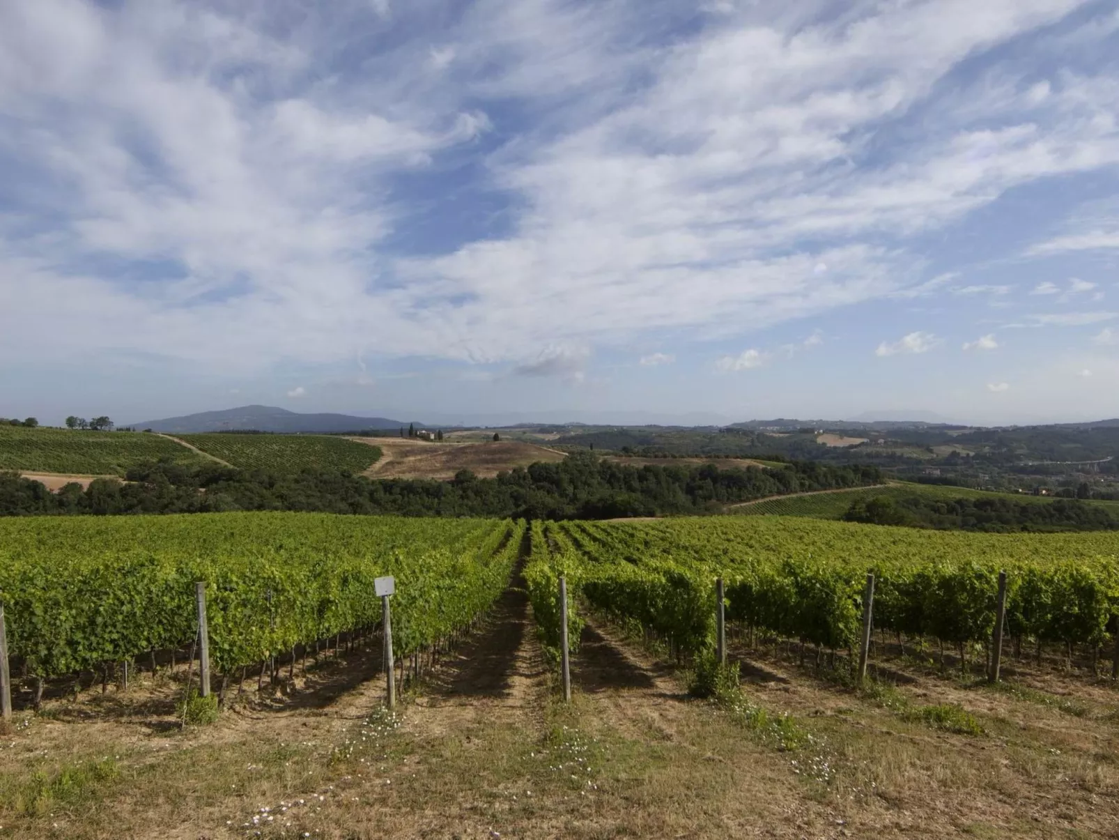 'Pini capponi' mit Pool-Dehors