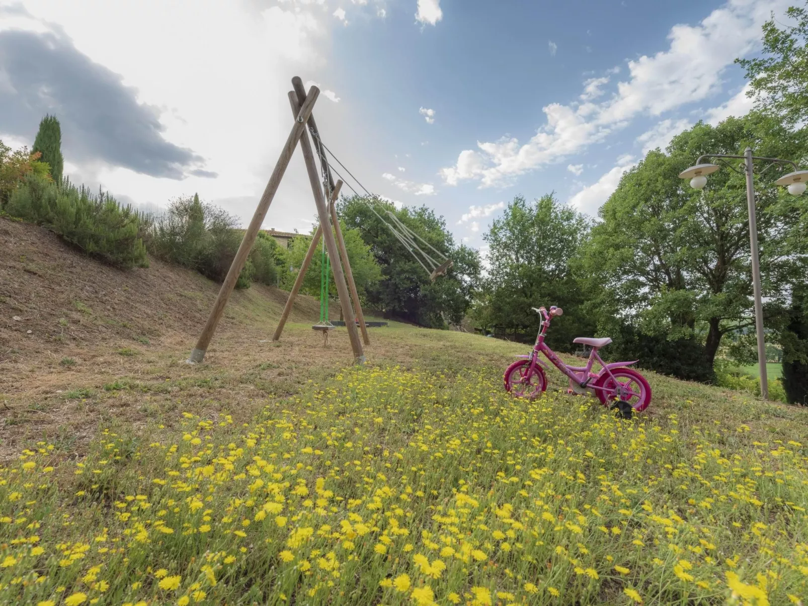Maskendickkopf-Gimpel-Draußen