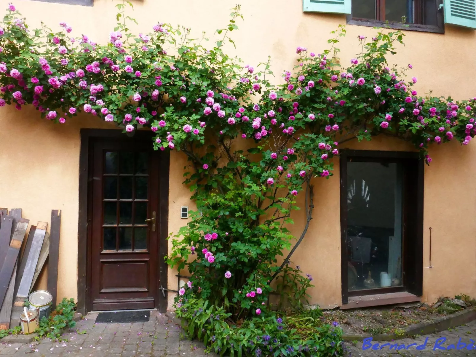 1ed-Face Vosges,au Sud,coeur Vignoble,Calme,WiFi-Outside