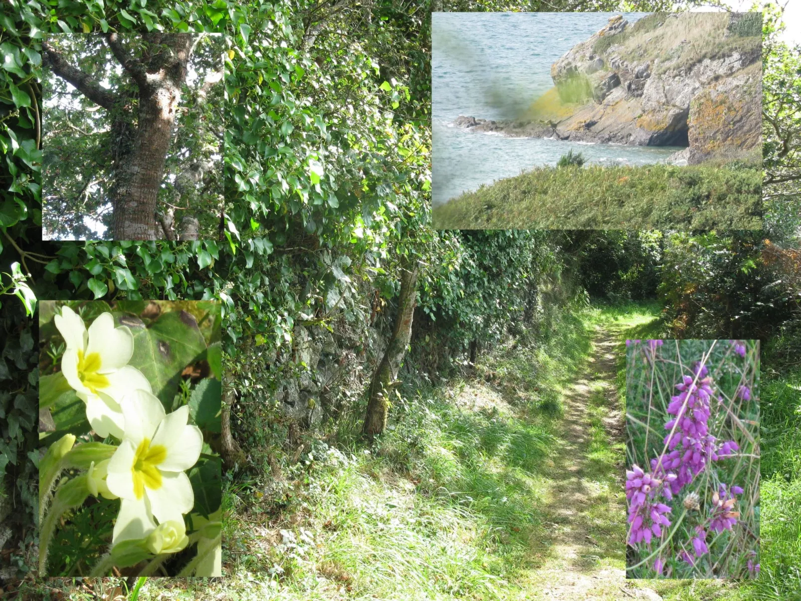 Haus auf der Halbinsel Plougastel-Dehors