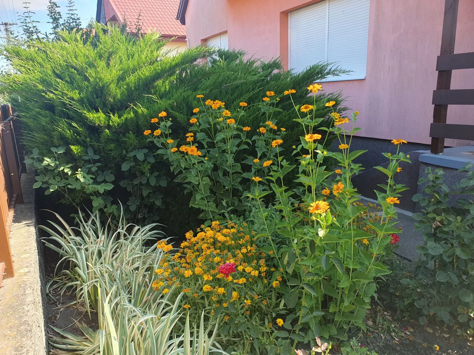 Mit Blick auf das Wasser-Outside