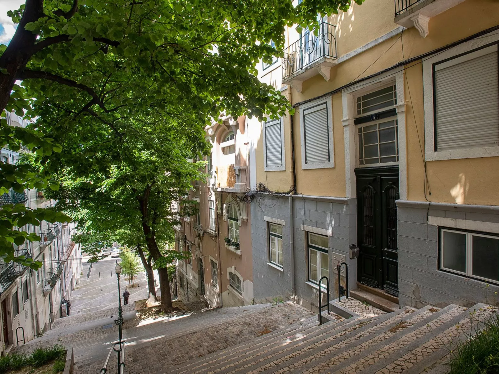 Baum Liverpooler Terrasse-Draußen