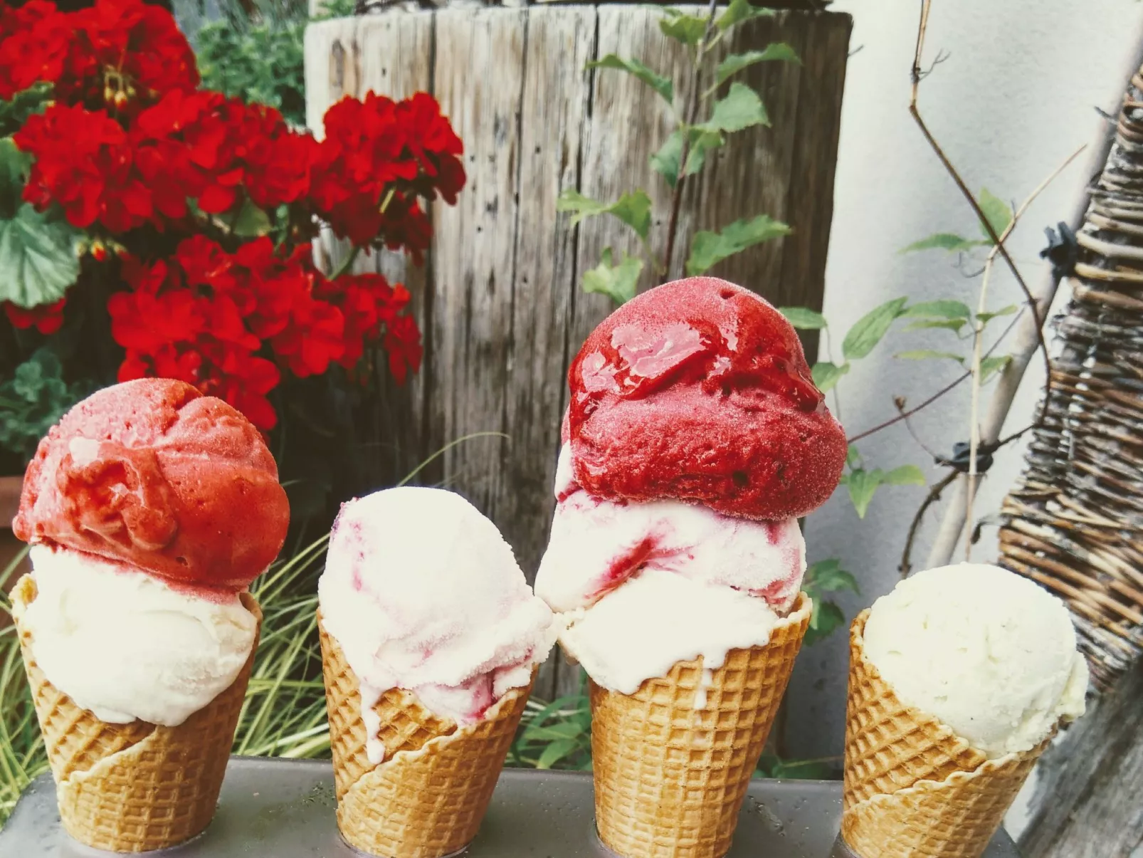 Mit Terrasse auf einem Bauernhof-Draußen