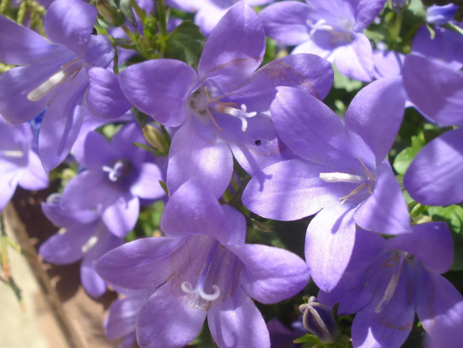 Wohnung Ebrón, Blick auf das Tal.