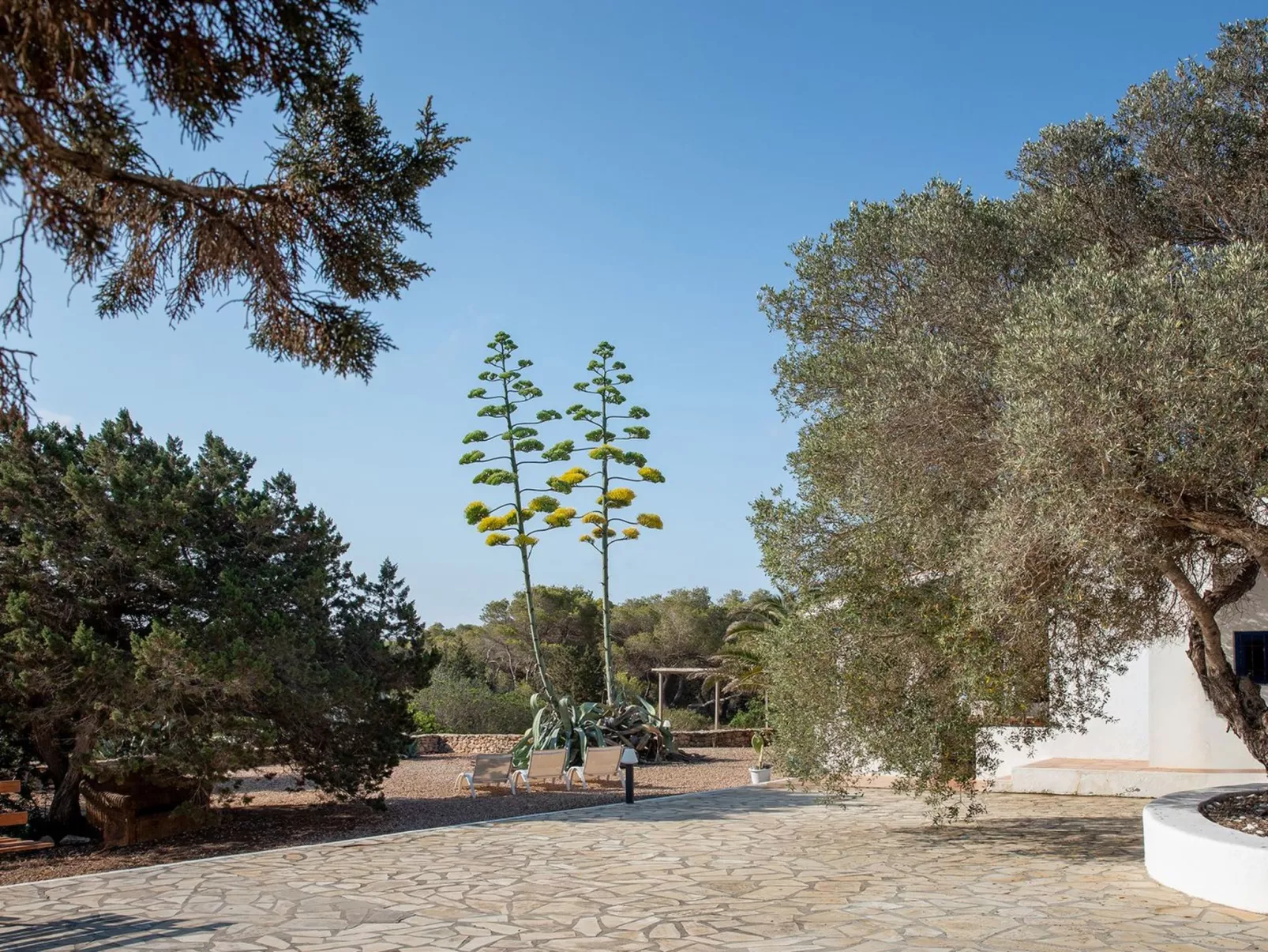 Casa Llevant 4 pax-Image-tags.info