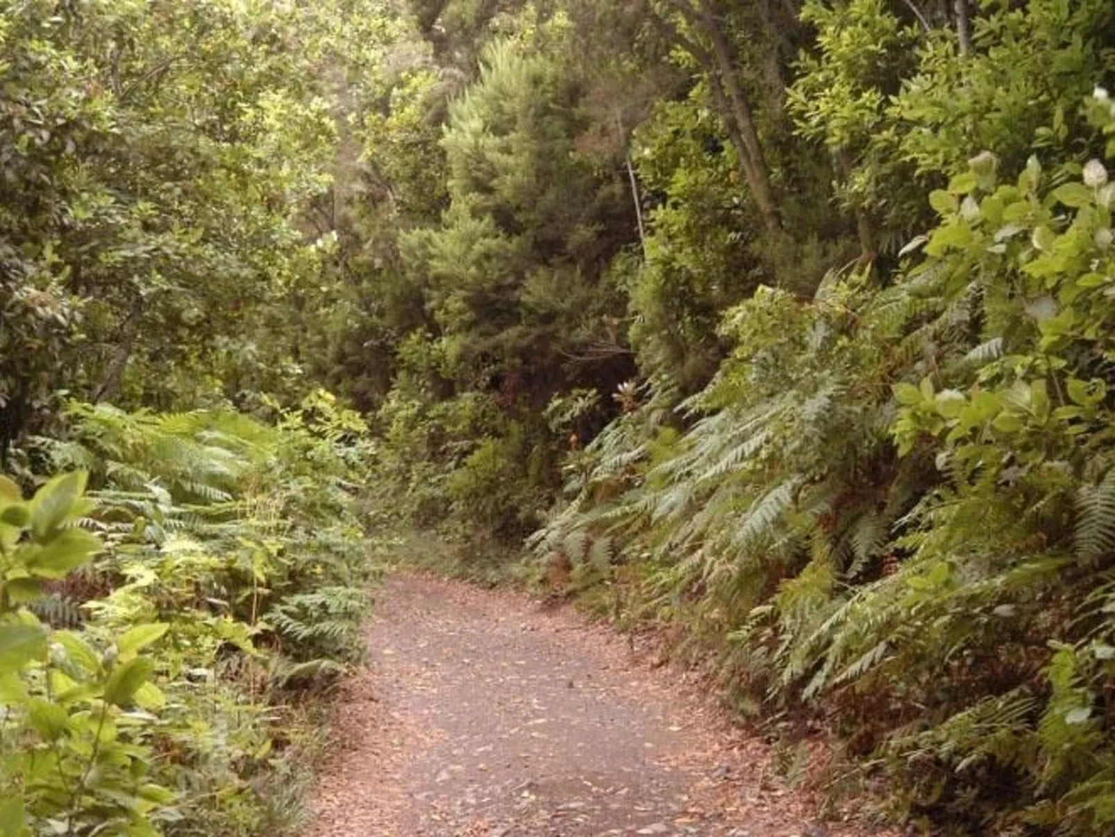 Ländliches Haus Monte del Agua-Draußen