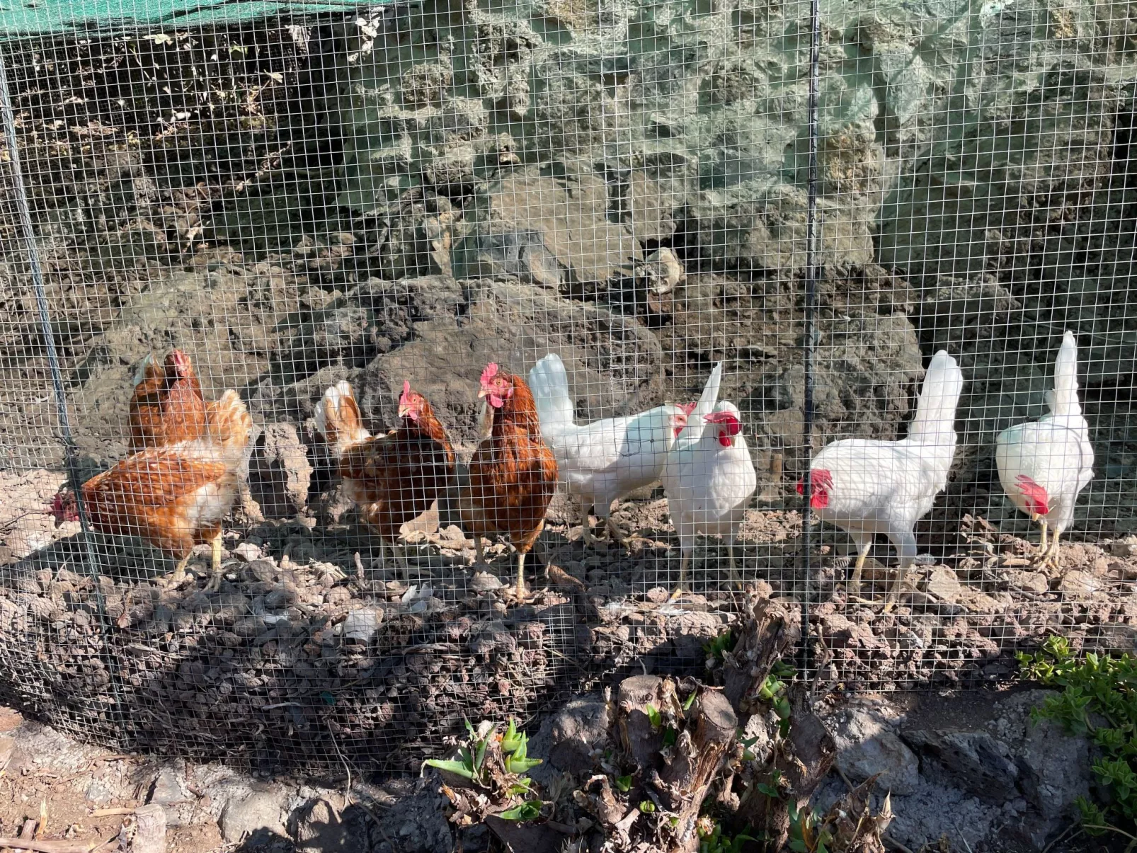 La Casita mit gemeinschaftlichem Wellnessbereich-Outside