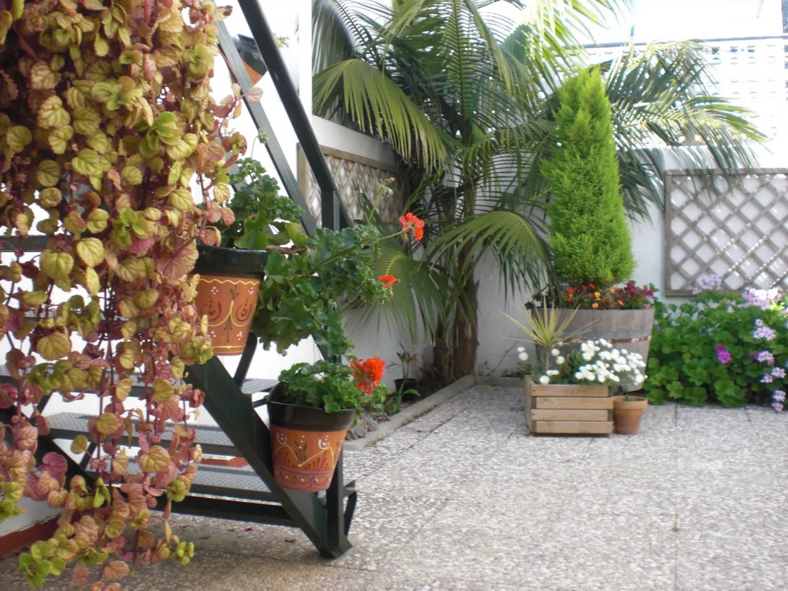 Touristenwohnung "Apartment" mit Terrasse