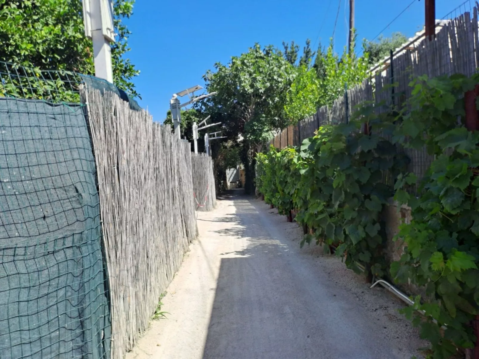 Saras kleines Haus von Holiday World-Dehors