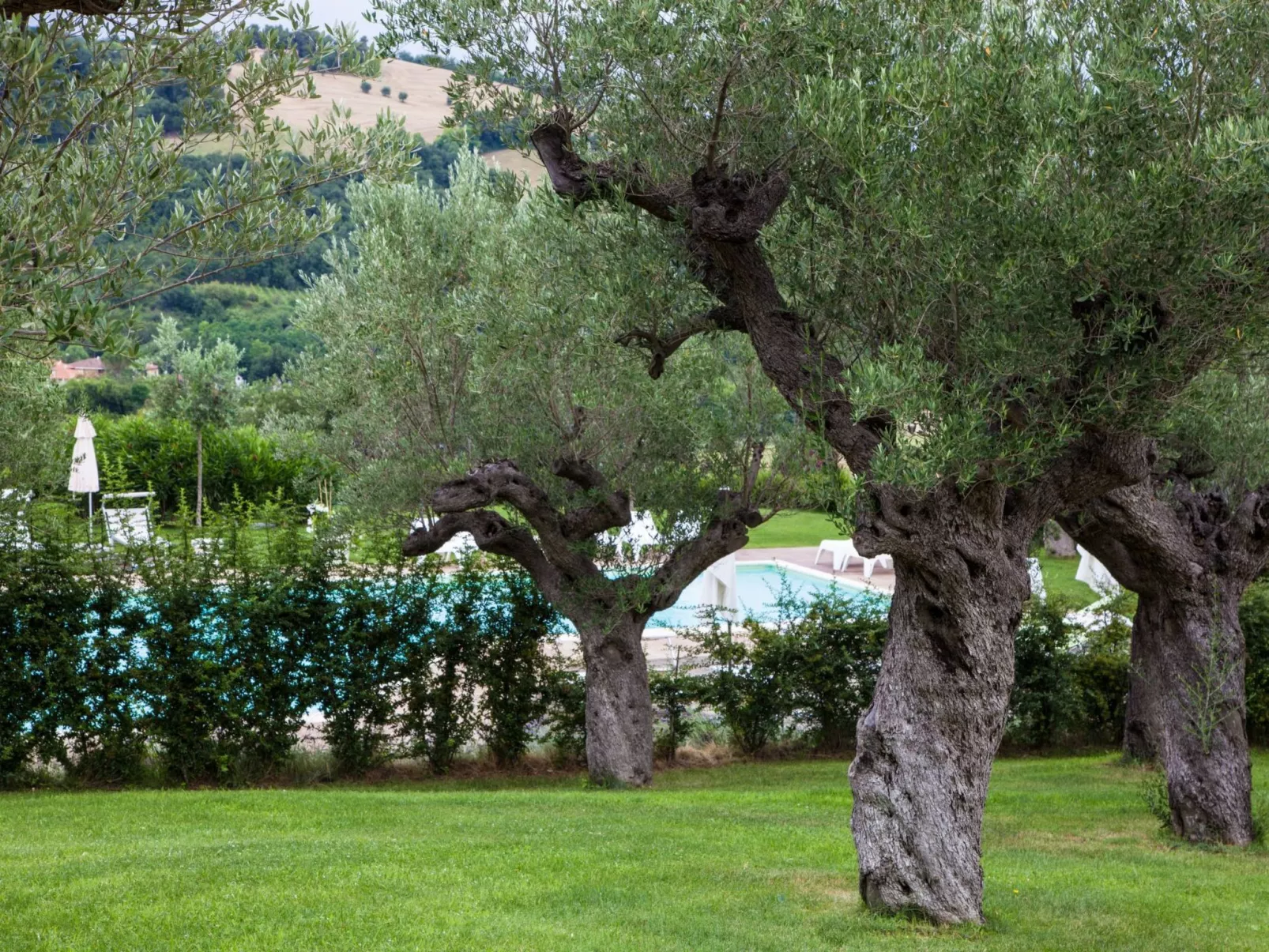 Wohnung mit Privatparkplatz-Dehors