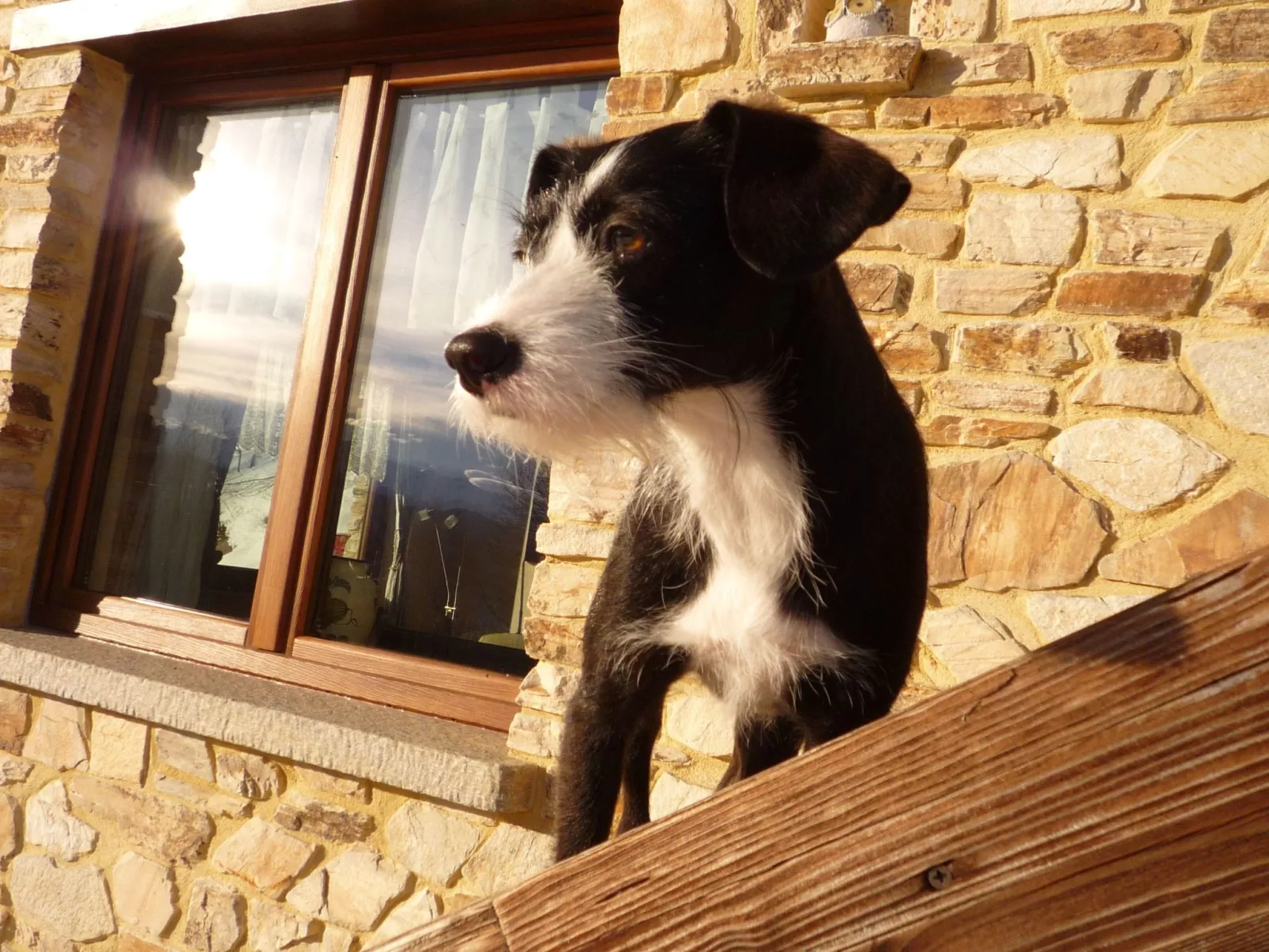 Casa Bella Vista-Dehors