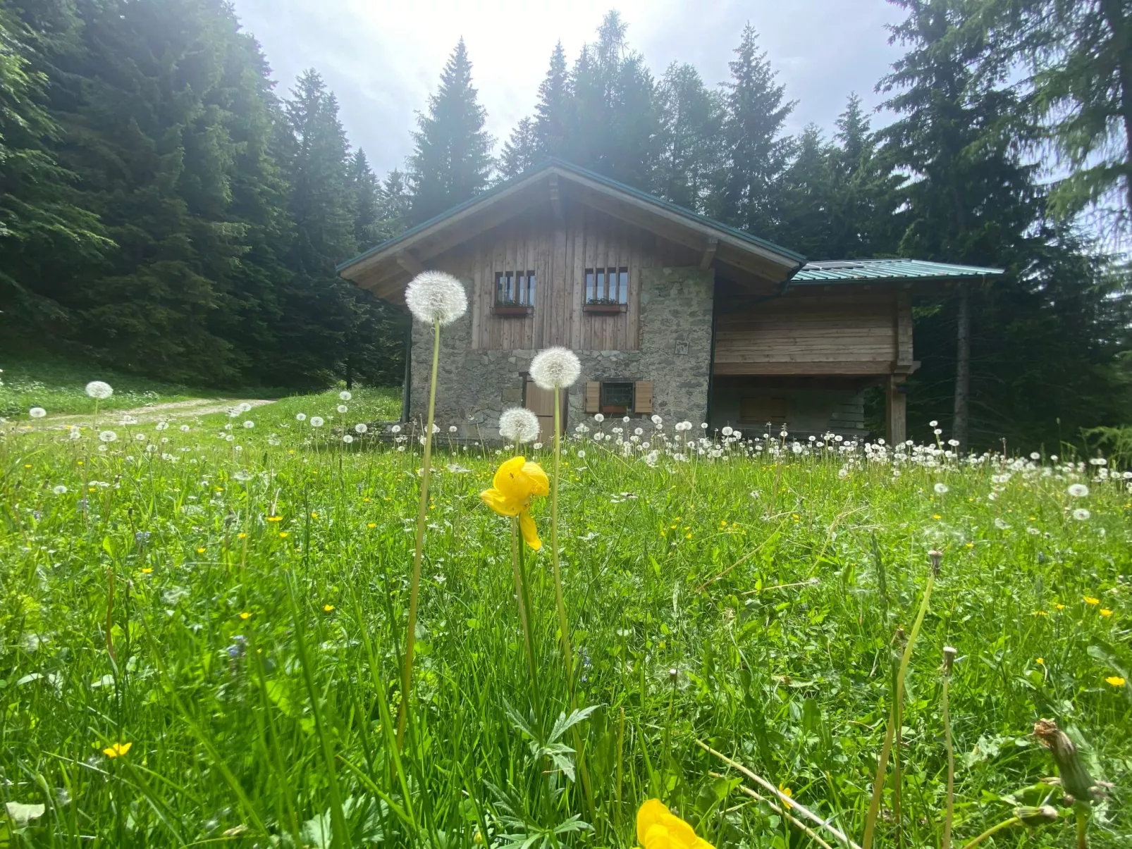 Mit Sauna in Pieve Di Bono-Outside