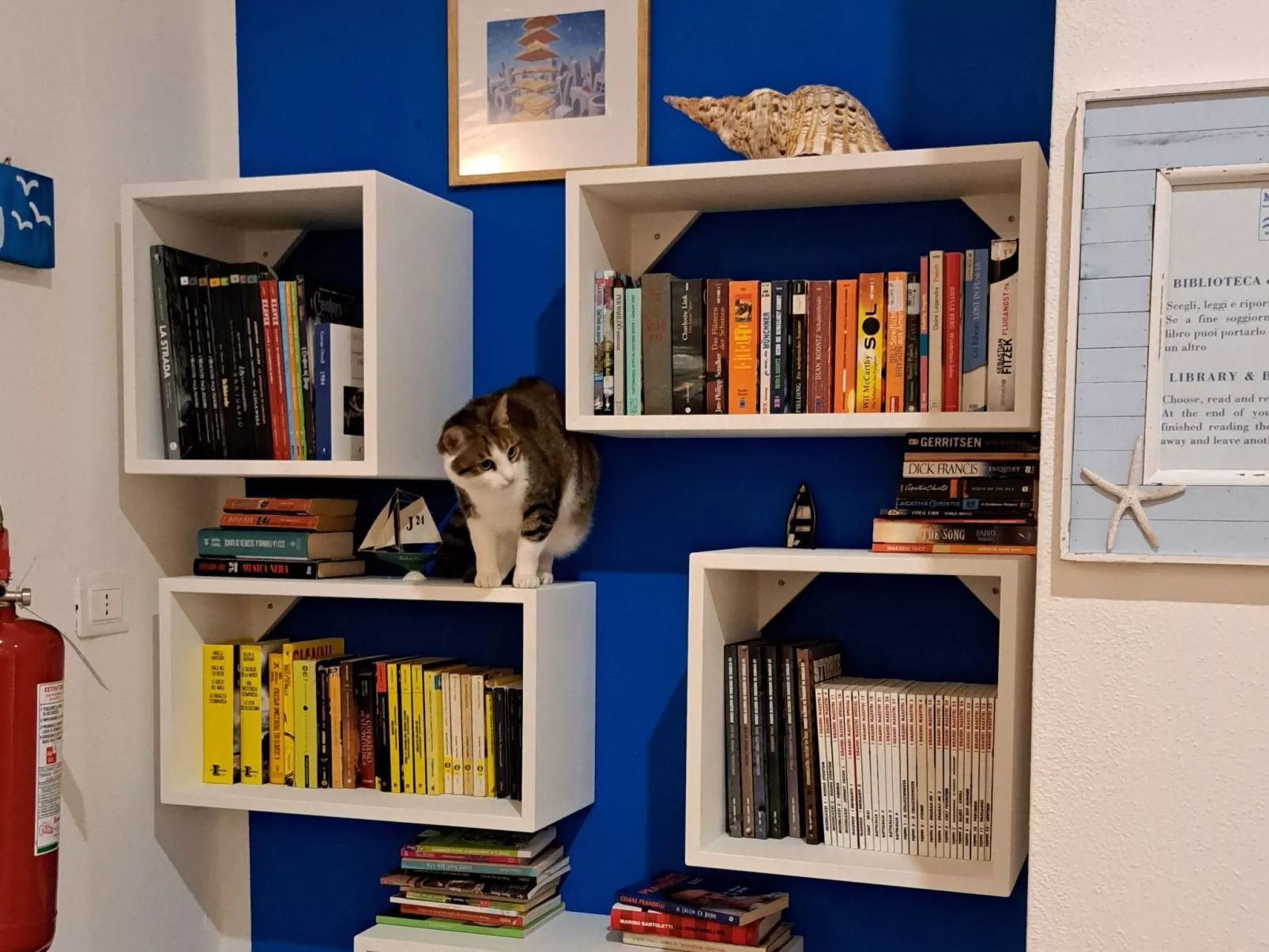 Mareblù' Wohnung mit Jacuzzi-Image-tags.info