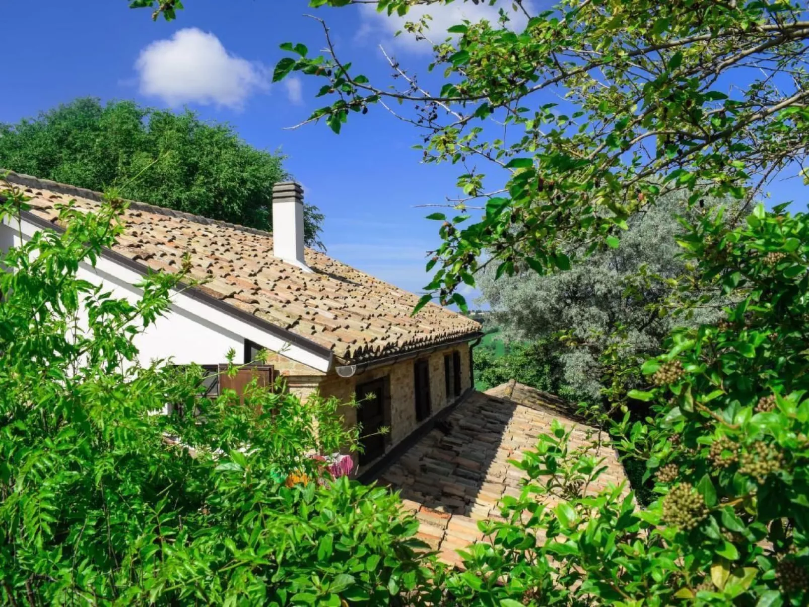 Studio  BUBO  - Pool - Ausblick- Kunst-Outside