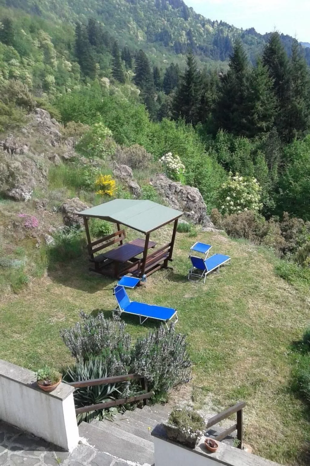 Natur und Entspannung, Villa im Park-Outside