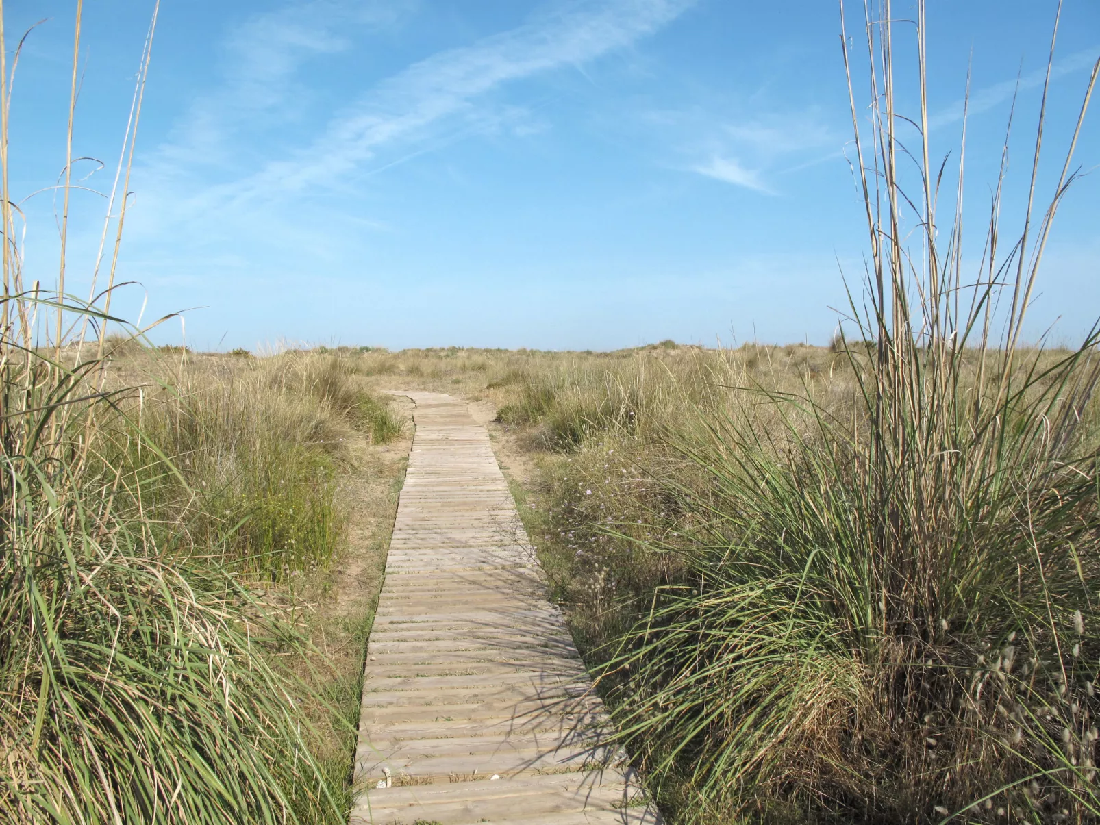 Luxuswohnung in Valencia Stadt-Environnement