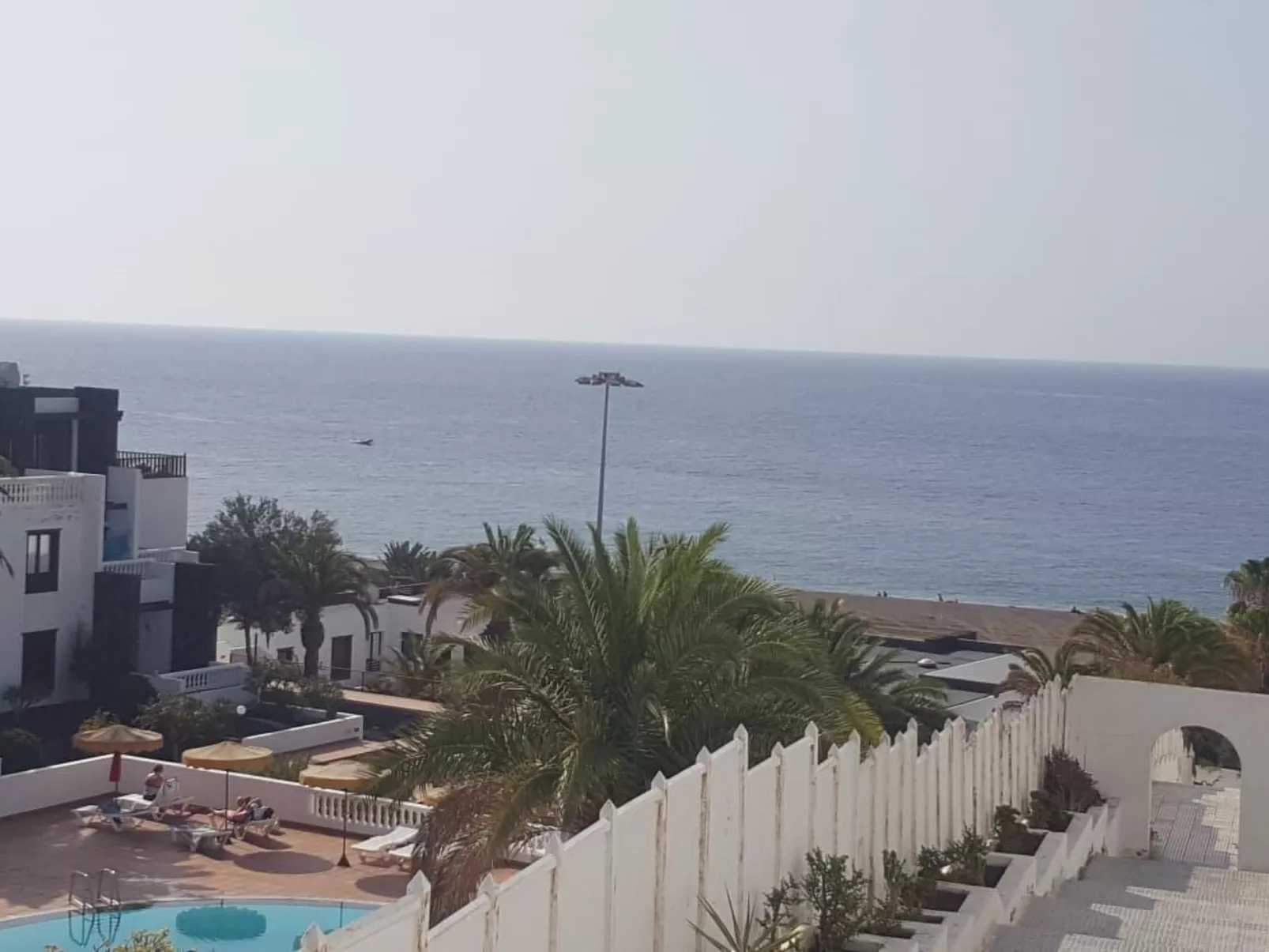 Widder vor dem Meer-Image-tags.info