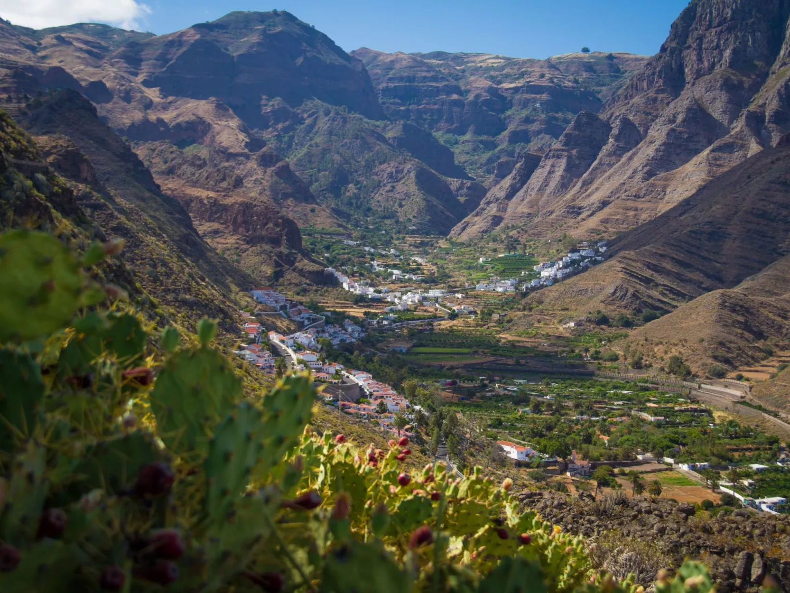 Casa del Puente-Image-tags.info