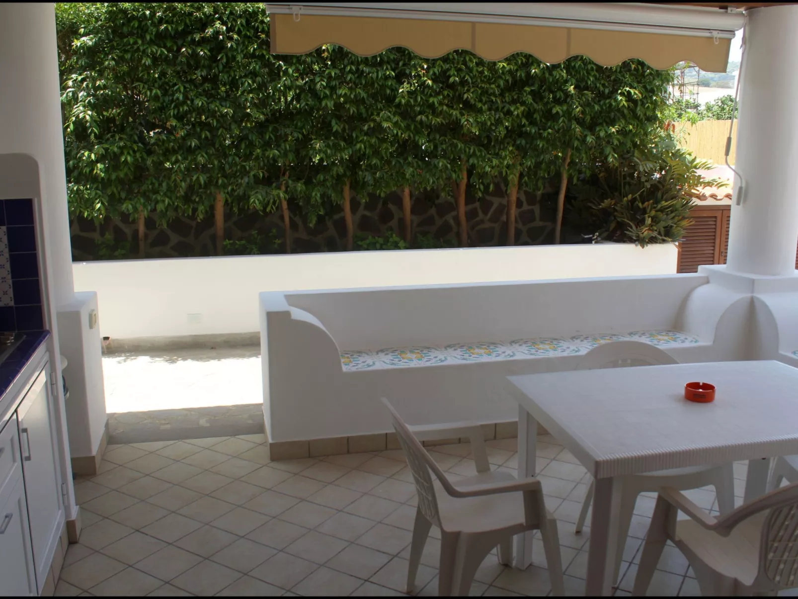 'Camelia ab 236-Dehors