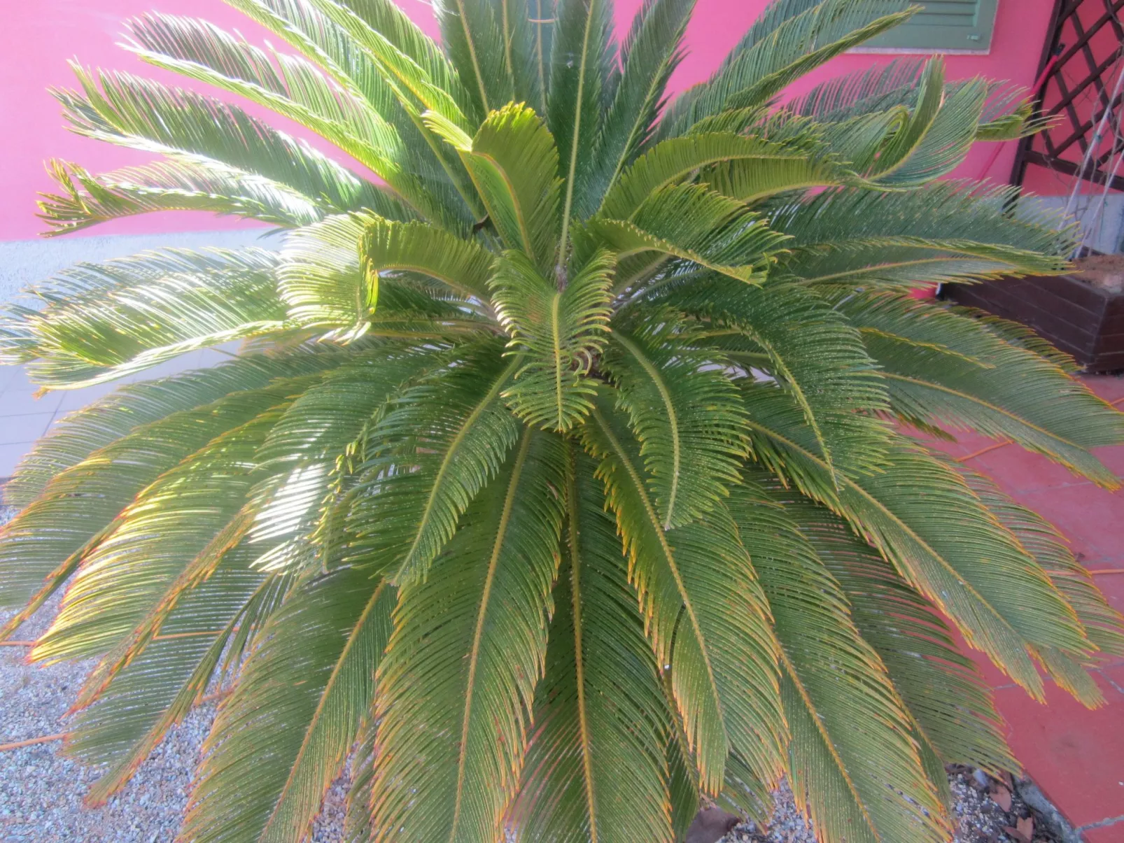 Wohnung mit Wasserblick