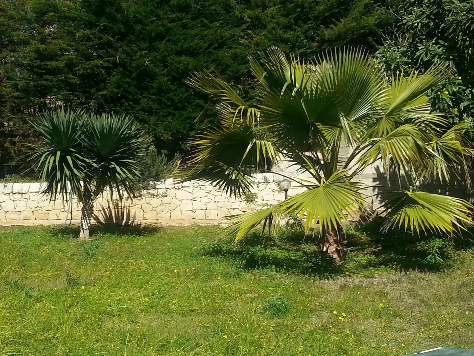 VanessaFerienhaus Erdgeschoss