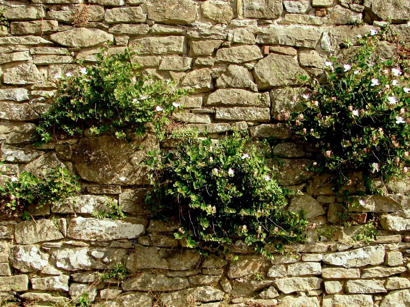 'La Torre' mit Terrasse-Outside