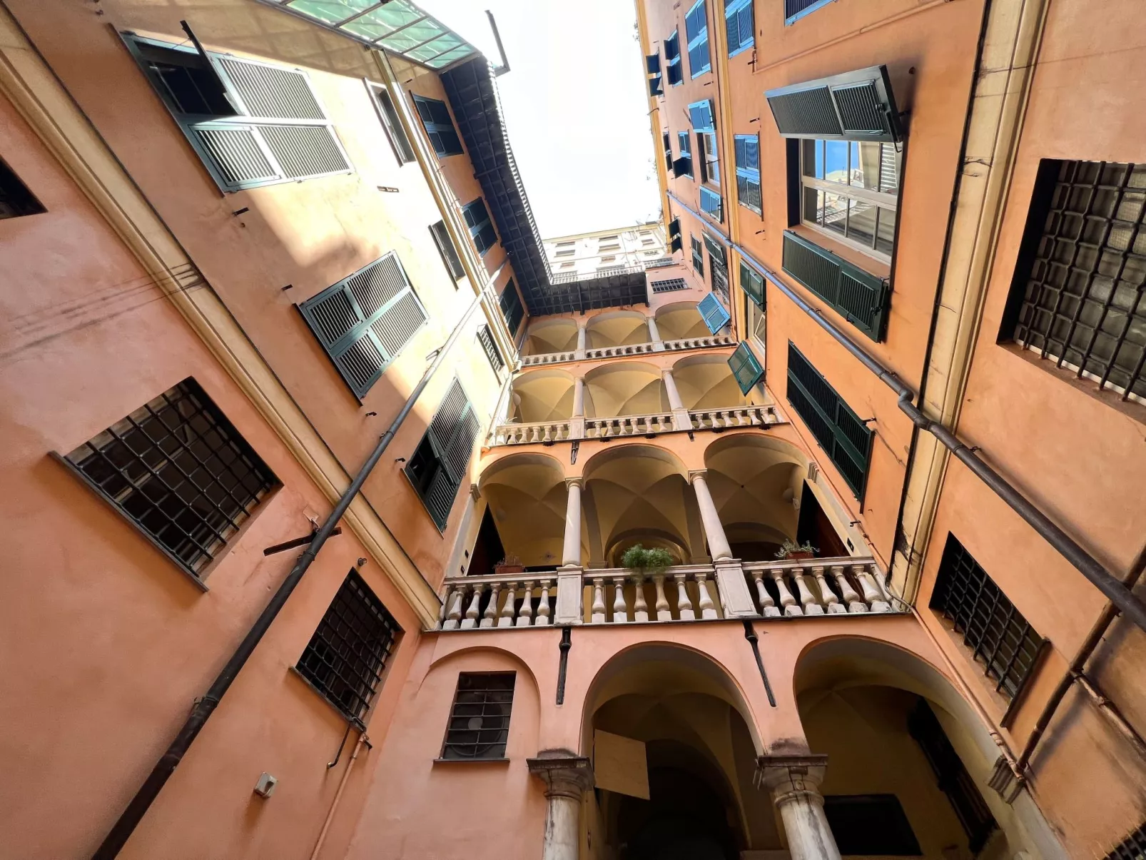 'Doge Antonino' mit Wi-Fi-Outside