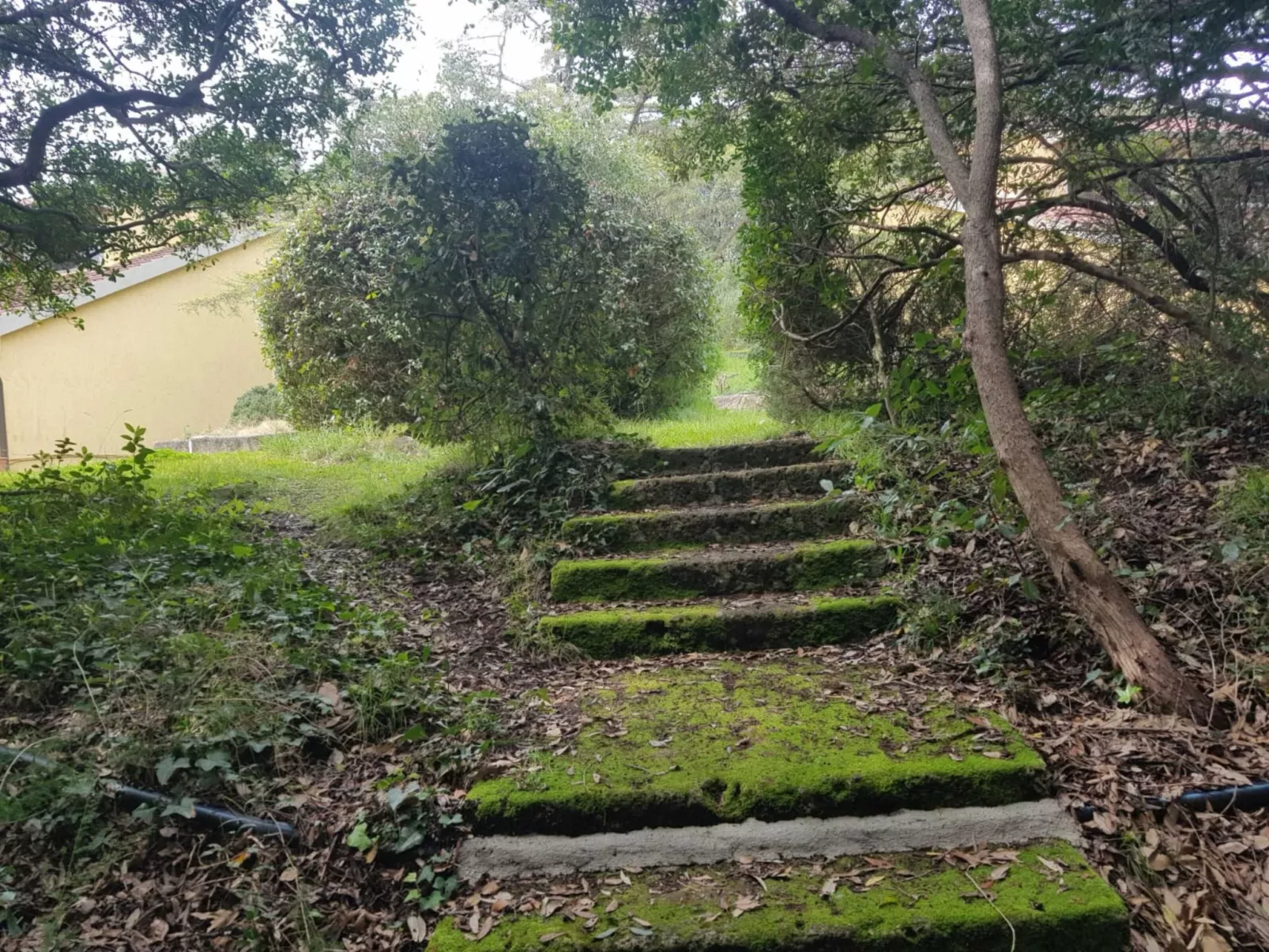 Wohnung zwischen Grün und Meer-Dehors