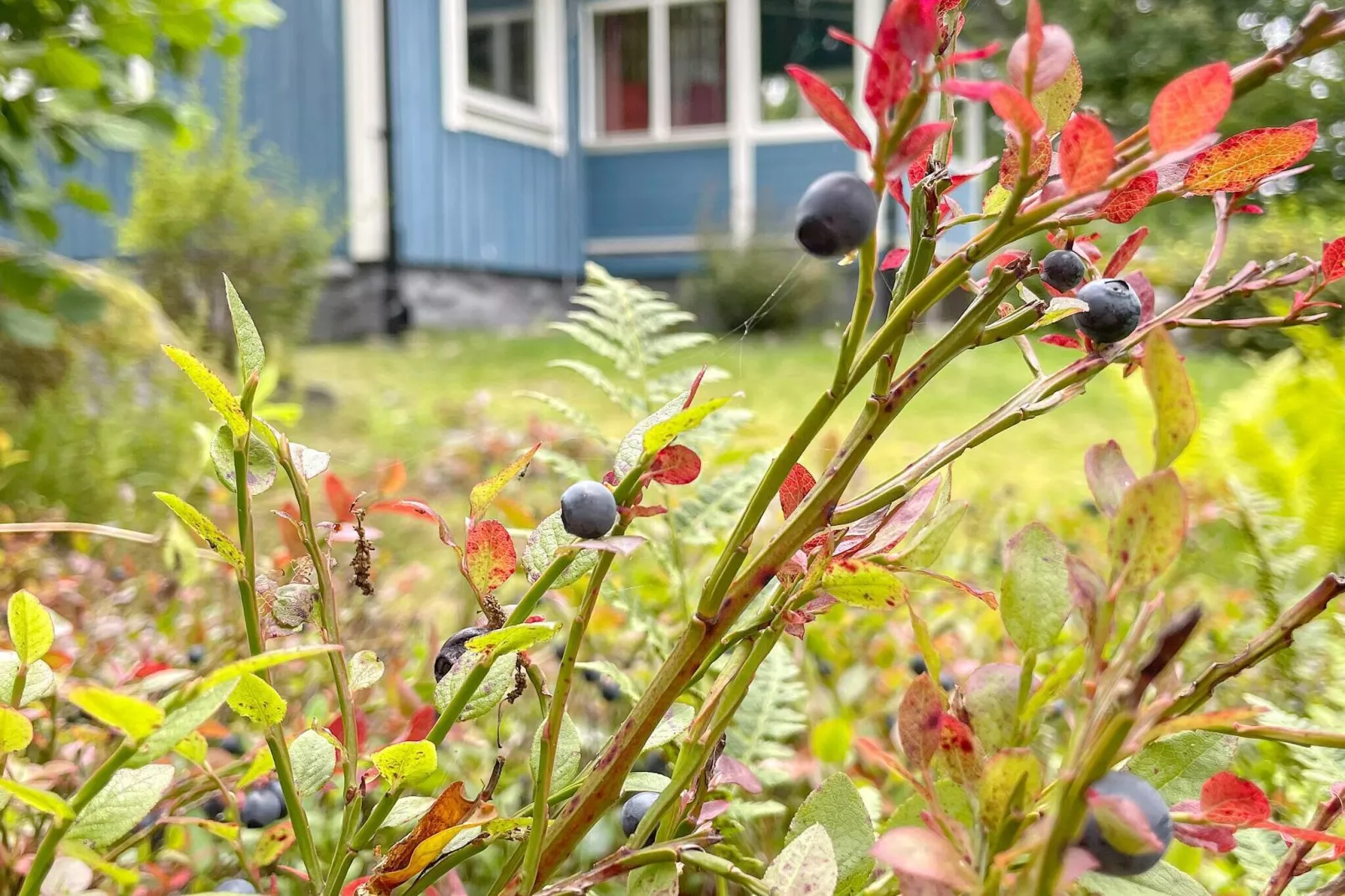 4 etoiles maison de vacances a KARLSHAMN-By Traum-Extérieur
