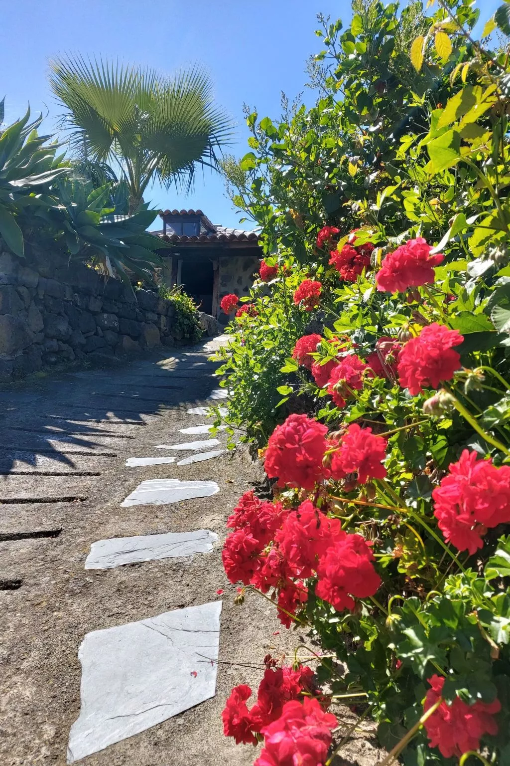 FW Cueva del Viento-Outside
