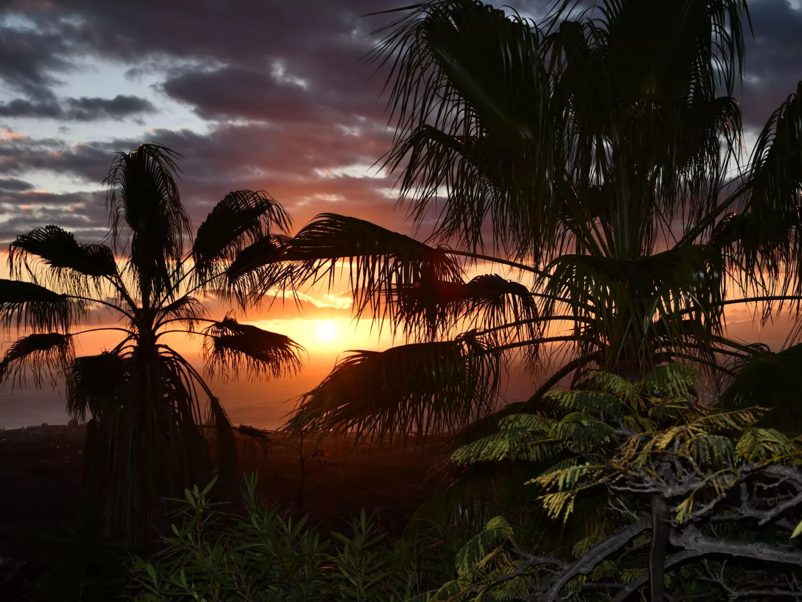 Villa del Duque-Outside