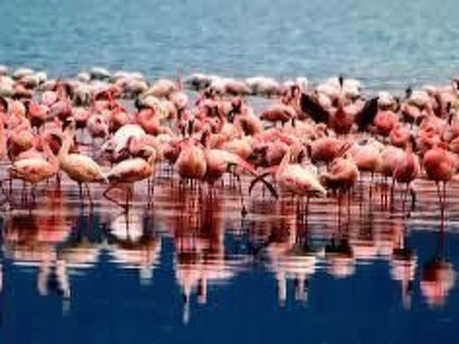 'Villa Adriana-Image-tags.info