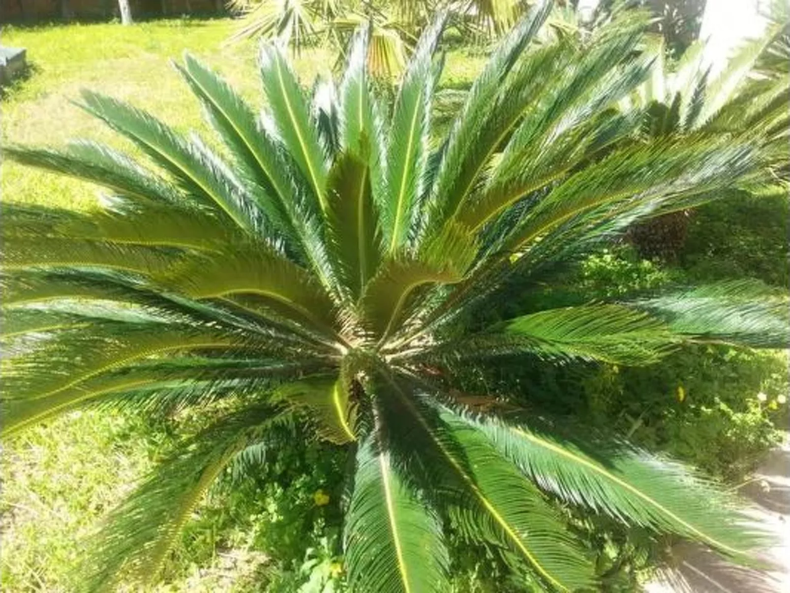 VanessaHolidayHome Erster Stock in Cava d'Aliga