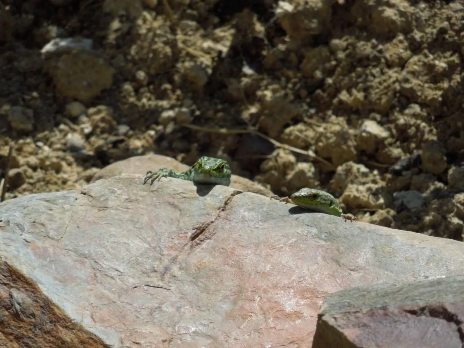 Unterkunft in einer Höhle mit Privatparkplatz