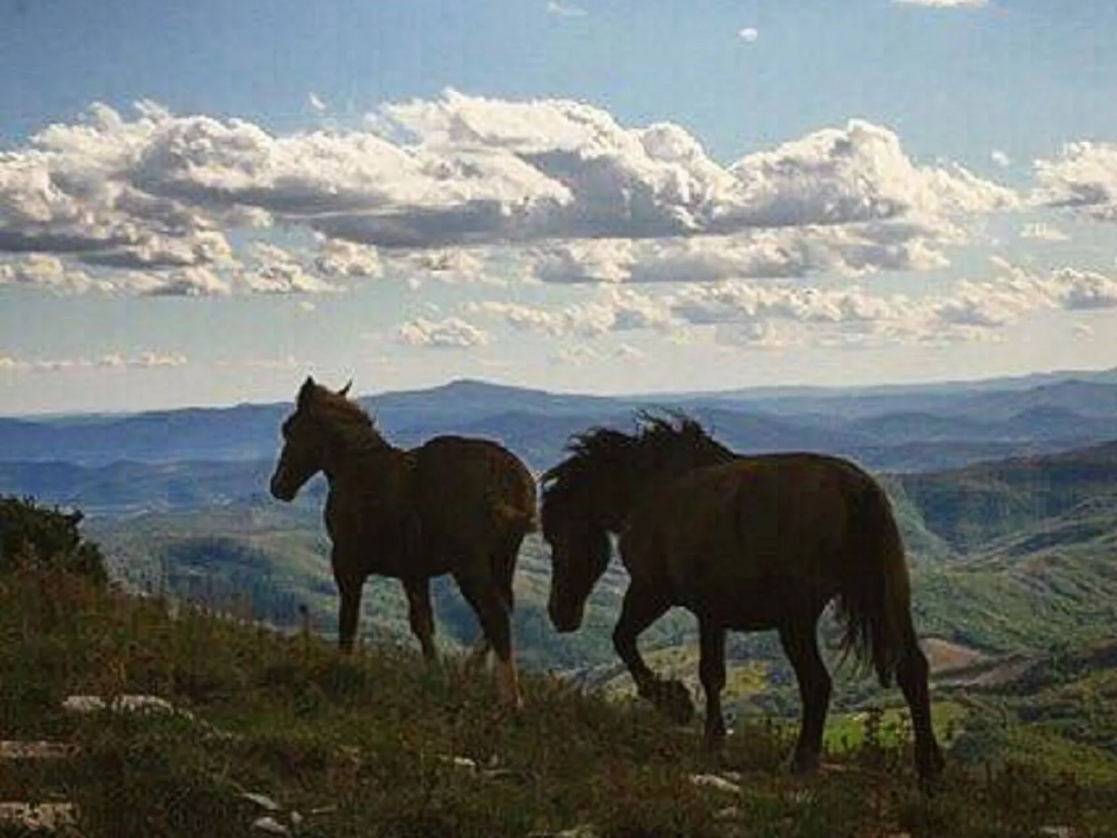 Privates Poolhaus im grünen Herzen von Umbrien-Dehors