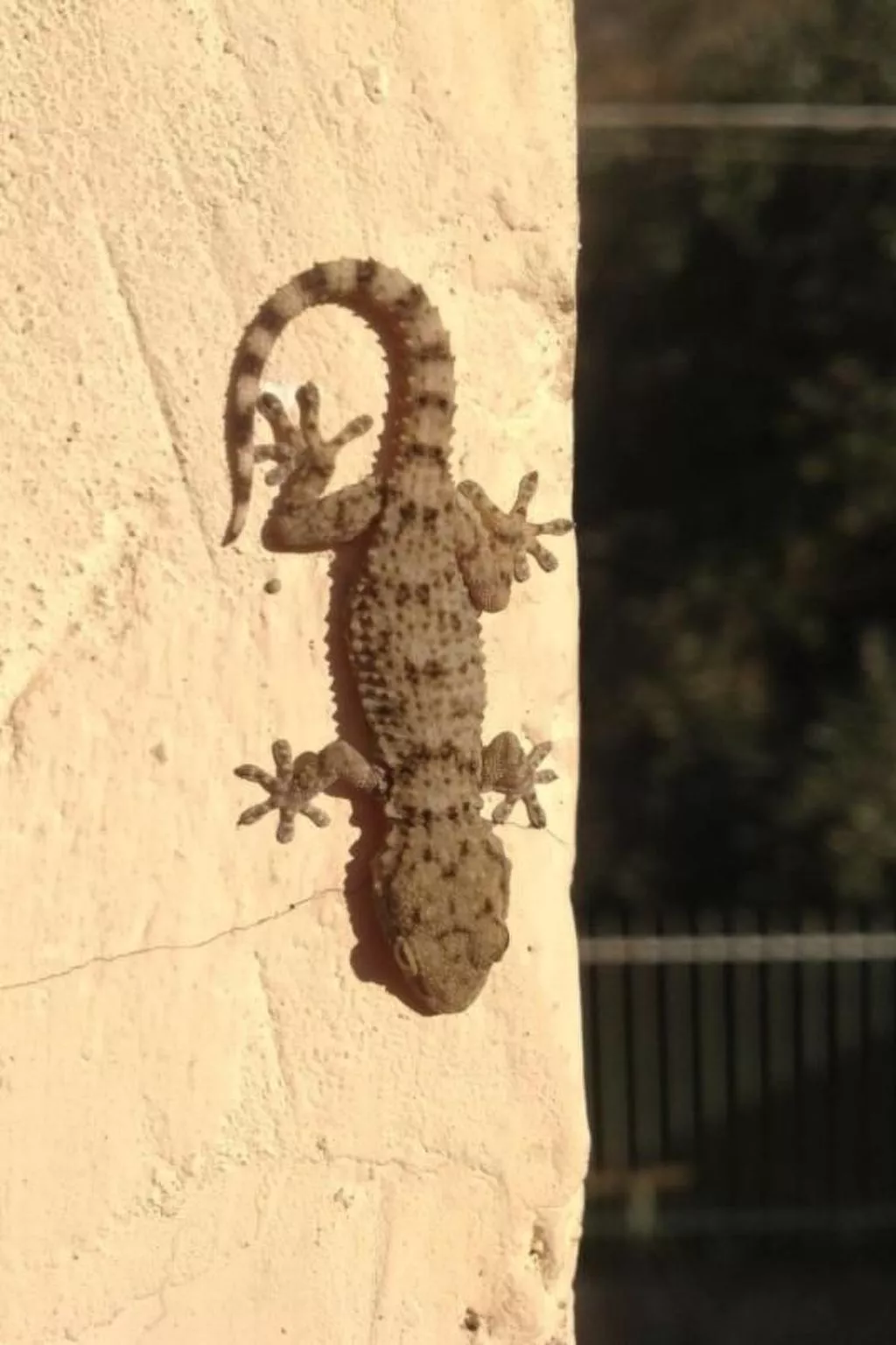 In Salò mit Grill, Terrasse und Garten