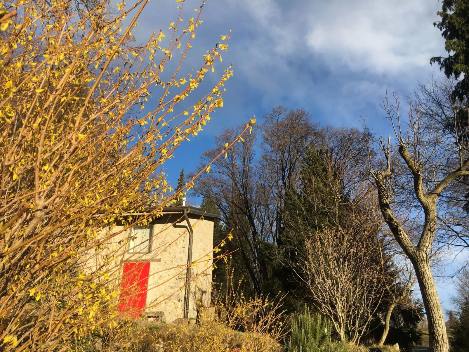 Niederwaldhaus in Solto Collina-Dehors