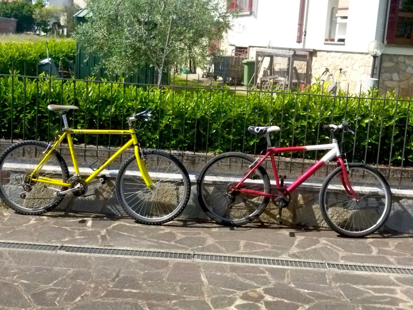 Wohnung in Marina Di Pisa mit Garten-Image-tags.info