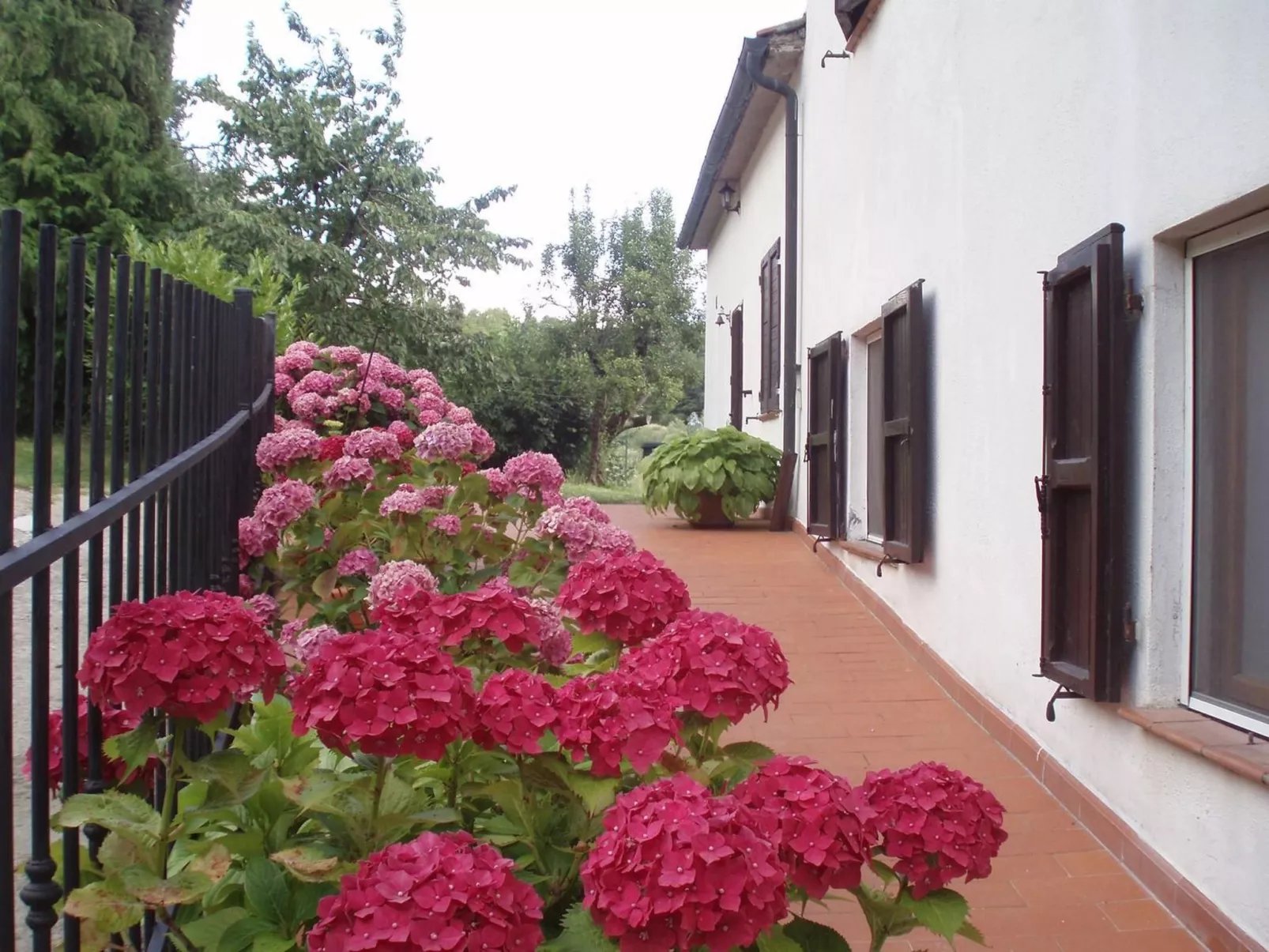 'Fasan' mit Balkon-Outside