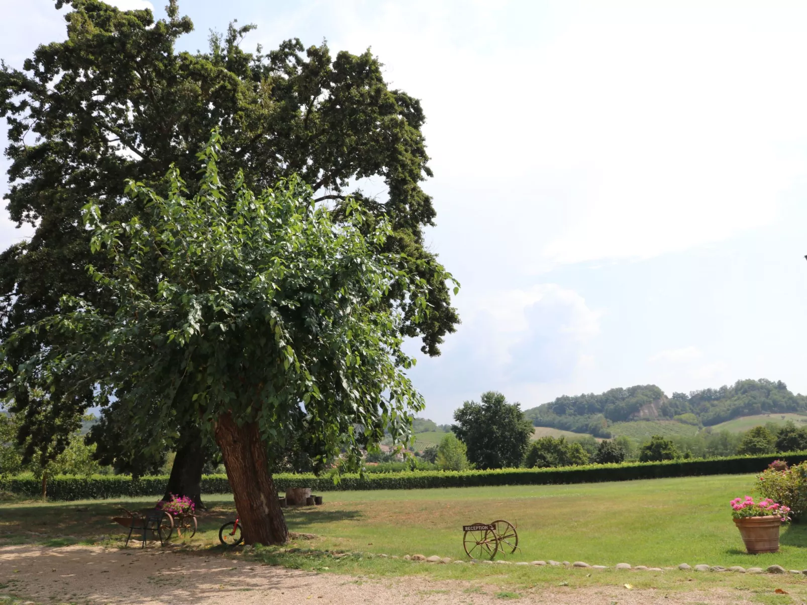 Schönes 1-Zimmer-Apartment-Outside