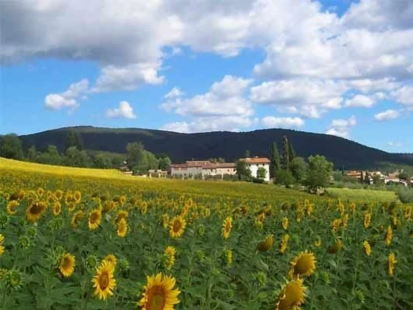 Großes Appartement-Outside