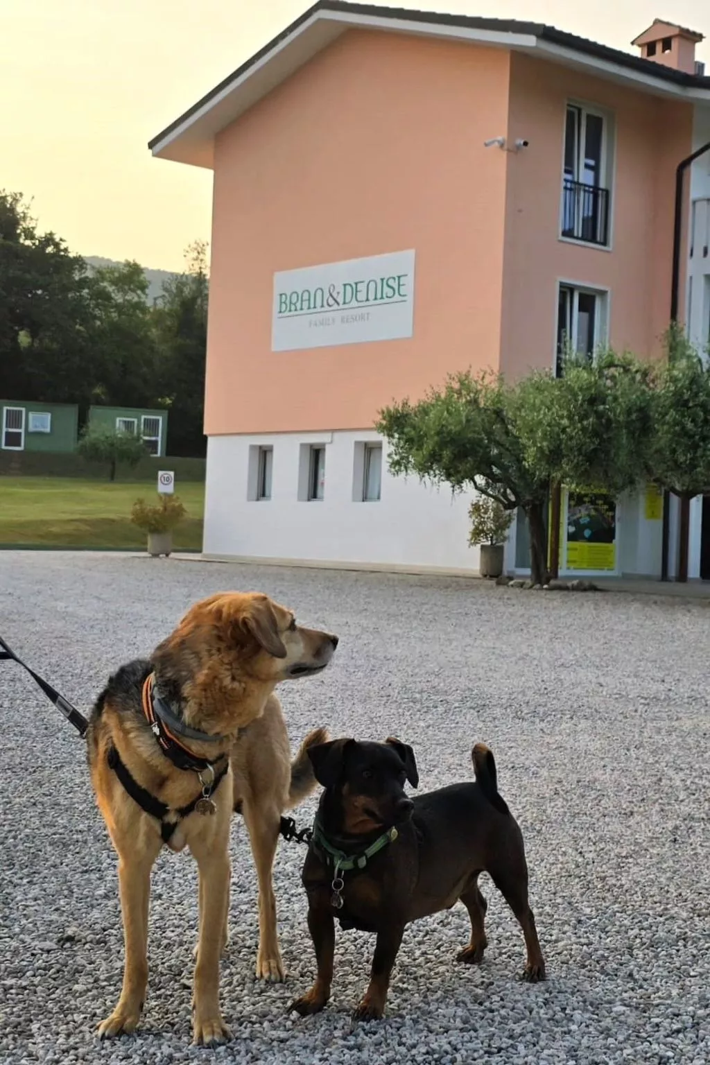Wohnung in Costermano mit privatem Parkplatz-Dehors