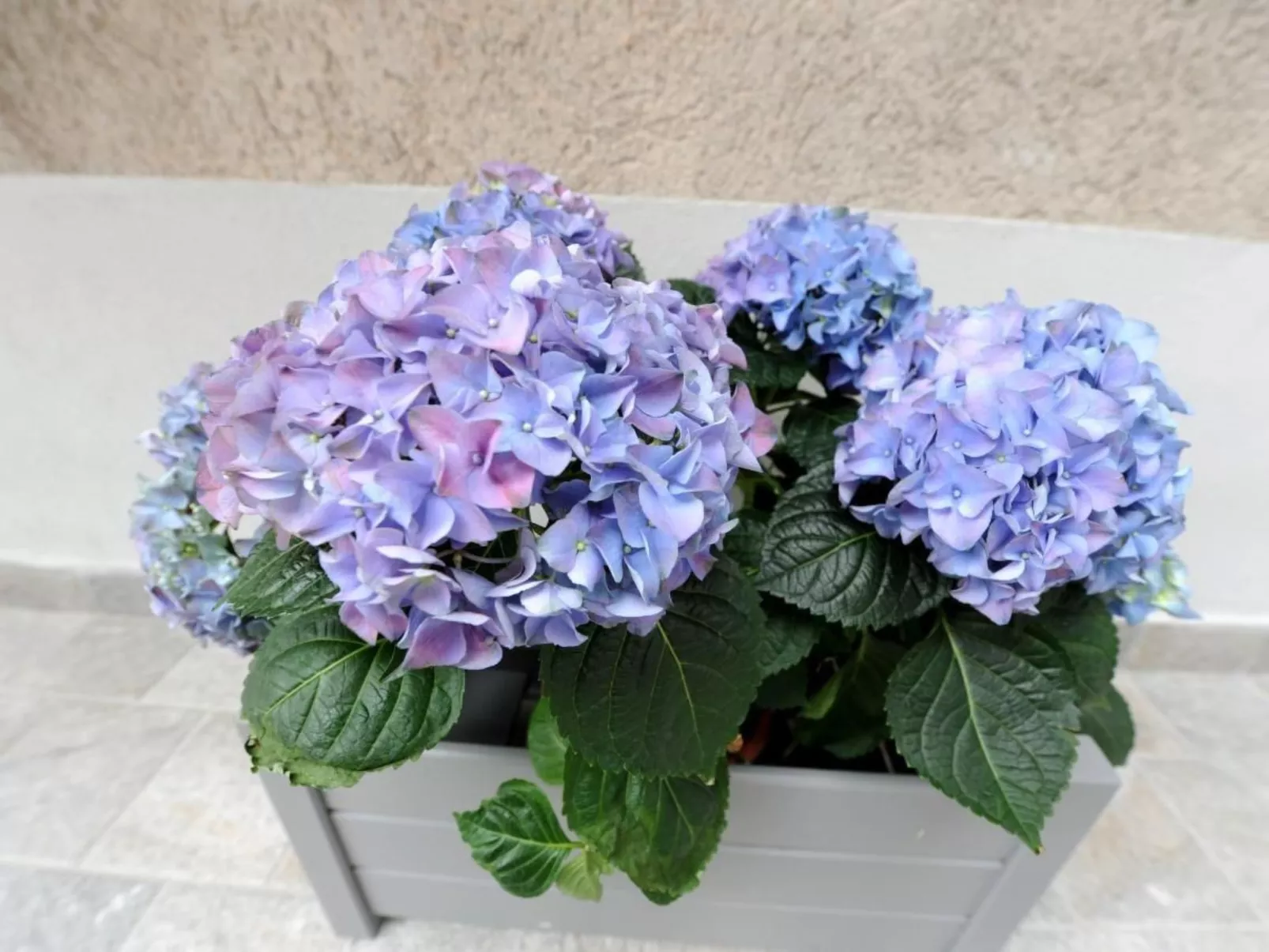 Wohnung 'Bella Vacanza 3-Outside